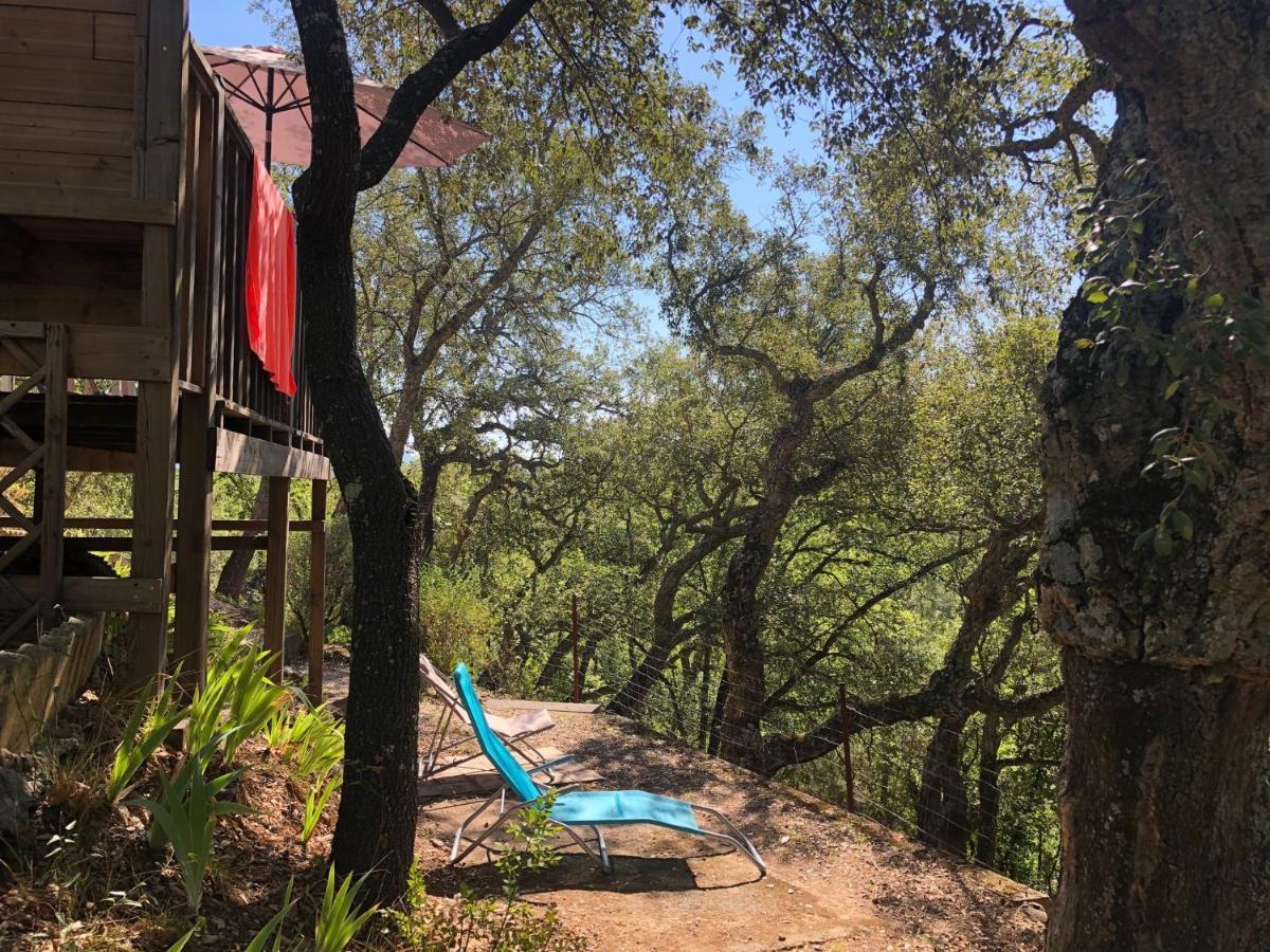 Camping De Parpaillon Roquebrune-sur Argens Zewnętrze zdjęcie
